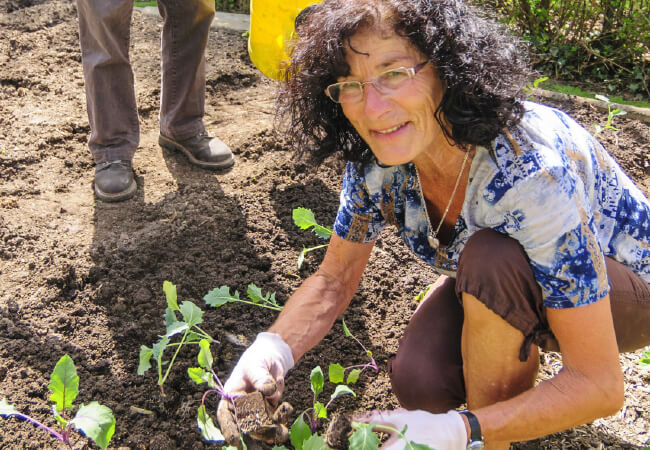 Nestor Physical Therapy